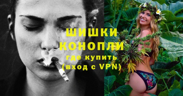 твердый Козельск