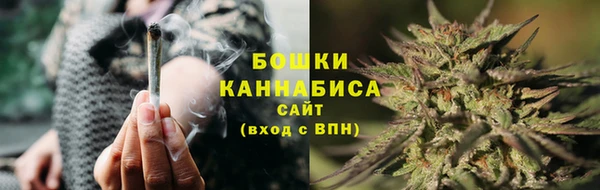 твердый Козельск