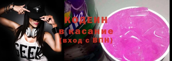 твердый Козельск