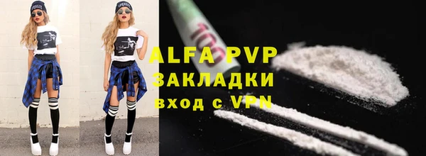твердый Козельск