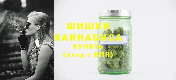 твердый Козельск