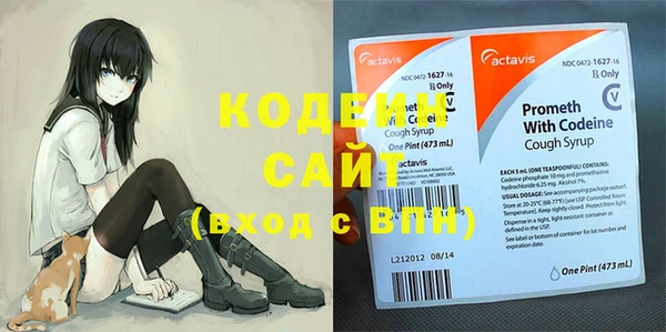 твердый Козельск