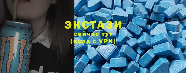 твердый Козельск