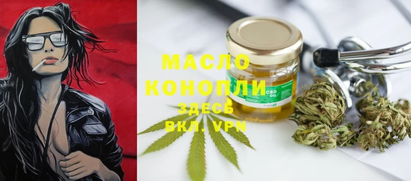 твердый Козельск
