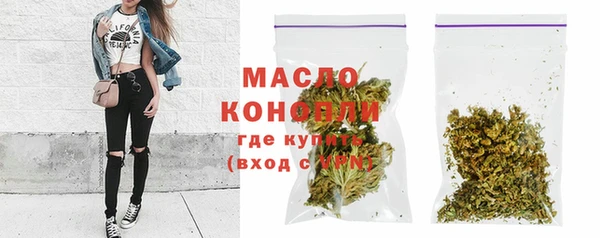 твердый Козельск