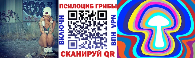 Купить  Новый Уренгой  Псилоцибиновые грибы Psilocybine cubensis 