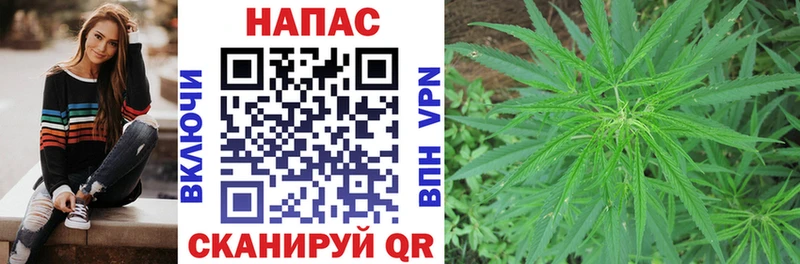Купить где  Новый Уренгой  Каннабис AK-47 
